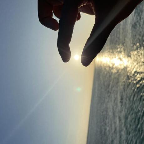 Shinobi Lola Github - Premium Minimal Design Gallery - Mobile