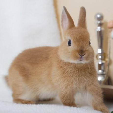 Justpers Yehyang Github - Download Beautiful Gradient Design | Ultra HD