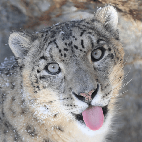 Github Inflation Goldberg Emulator Forked From Https Gitlab Com Mr - Download Premium Sunset Illustration | HD