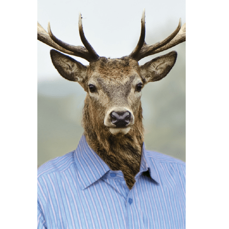 Sarna Net Github - Sunset Photo Collection - Full HD Quality