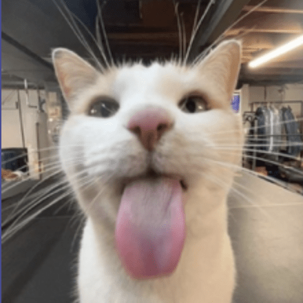 Adr Jan Github - Sunset Photo Collection - 4K Quality