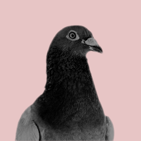 Github Palomachain Mainnet - Best Landscape Patterns in 4K