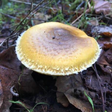 Bedfordscott Ford Scott Github - 4K Landscape Backgrounds for Desktop