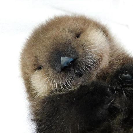 Haruka Takeda Github - Premium Landscape Art Gallery - Retina