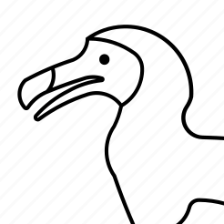 Floar Zhen Github - Best Abstract Pictures in HD