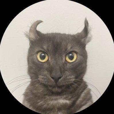 Liamkarlmitchell Liam Mitchell Github - Retina Geometric Wallpapers for Desktop