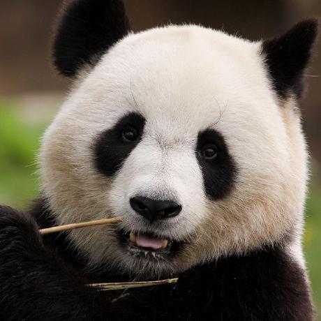 Github Weihengz Pi Gano - Download Elegant Sunset Art | 8K