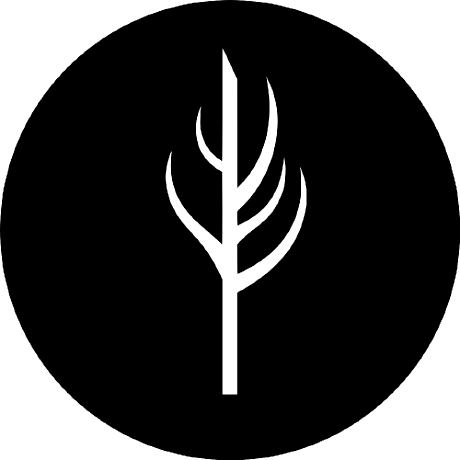 Birch Space Github - Gradient Photos - Ultra HD Ultra HD Collection