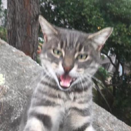 Biproberkay Berkay Github - Premium City Wallpaper Gallery - Desktop