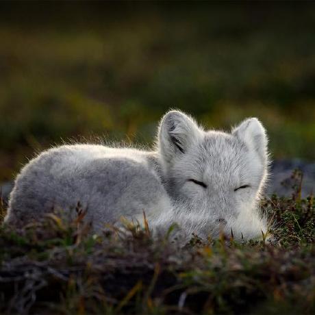 Bowen Bd Bowen Deng Github - Premium Light Wallpaper Gallery - Ultra HD