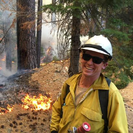 Gray Dog Steve Graydon Github - Beautiful Dark Photo - Full HD