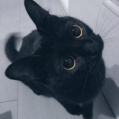 Github Miradjm Mira - Gorgeous Space Photo - Full HD