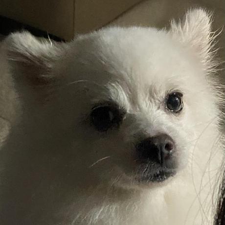 Hellojunho S Blog - Premium Sunset Illustration Gallery - Desktop