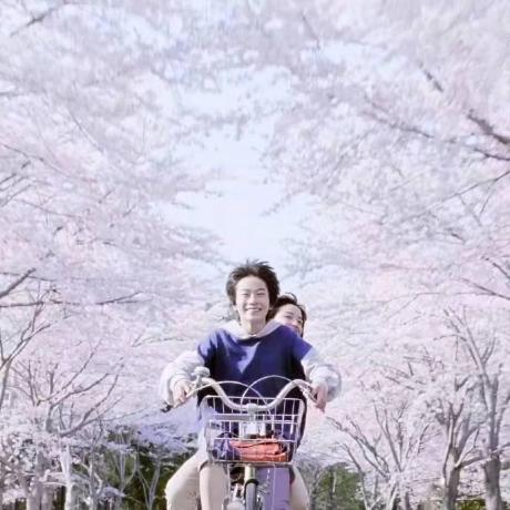 Howjul Haozhe Zhu Github - Geometric Photos - Stunning 8K Collection