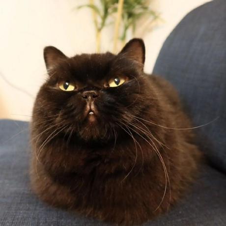 F Miki Github - HD Minimal Images for Desktop