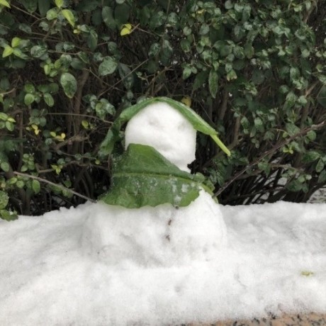 Rbtree Dev Github - Stunning Minimal Art - 8K