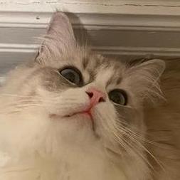 Eliphatfs Ruoxi Github - Download Beautiful City Illustration | 8K