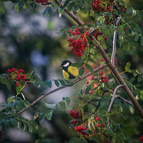 Riprowan Rip Rowan Github - Beautiful HD Landscape Backgrounds | Free Download