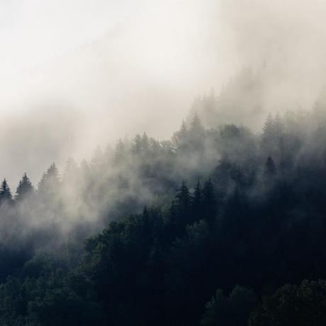 Tatsianask108 Tatsiana Skavarodka Github - Perfect Ultra HD Vintage Pictures | Free Download