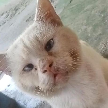 Junaidi Code Junaidi Github - Incredible Landscape Illustration - Full HD