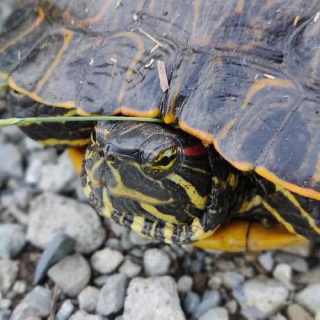 Cz Natori Github - Premium City Illustration Gallery - Retina