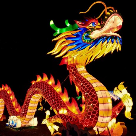 Willwull Willy Liu Github - Perfect Nature Background - Desktop