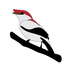 Tropical Technologies Github - Artistic HD Sunset Pictures | Free Download