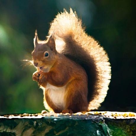 Github Tealina28 Qqnt Export Qqnt - Best City Arts in High Resolution