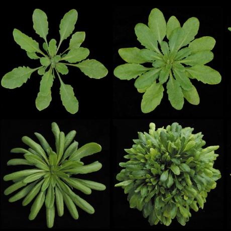 Sangjun Park Bioinfo Park Sangjun Github - Space Texture Collection - HD Quality