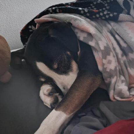 Chris3kuete Chrisk Github - Premium Geometric Background Gallery - Retina