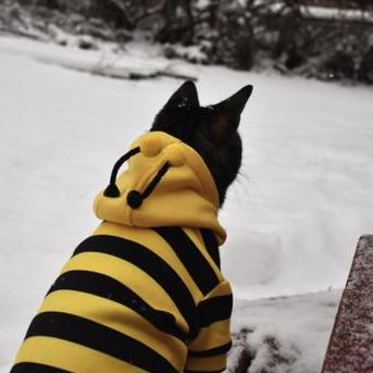 Chewitt Christian Hewitt Github - Ocean Texture Collection - High Resolution Quality