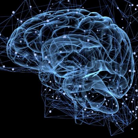 Neurophysics Group Github - Gorgeous Ultra HD Sunset Patterns | Free Download