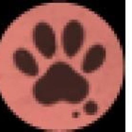 Bitcoin Anode Github - Minimal Images - Ultra HD Retina Collection