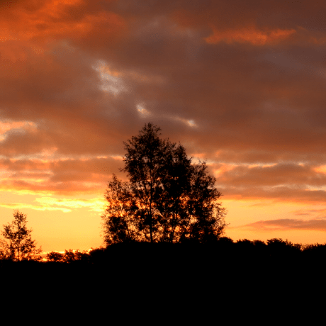 Ramonlean Ramon Github - Gorgeous Retina Landscape Wallpapers | Free Download