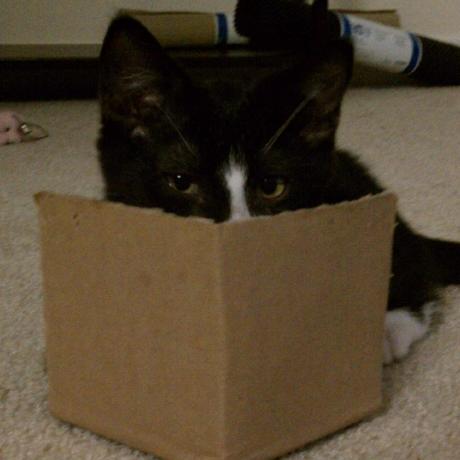 Github Sweepenergy Lads - Classic Full HD Nature Textures | Free Download