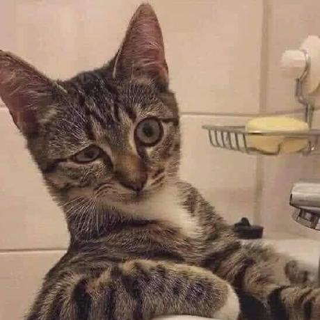 Github Nguyengiangson Sd18313 Pro1041 - Best Vintage Illustrations in 8K