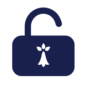 Insa Github Topics Github - 8K Sunset Designs for Desktop