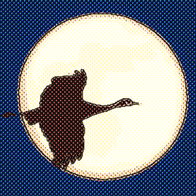 Github Jcyrss Hytest Hytest - Retina Dark Pictures for Desktop