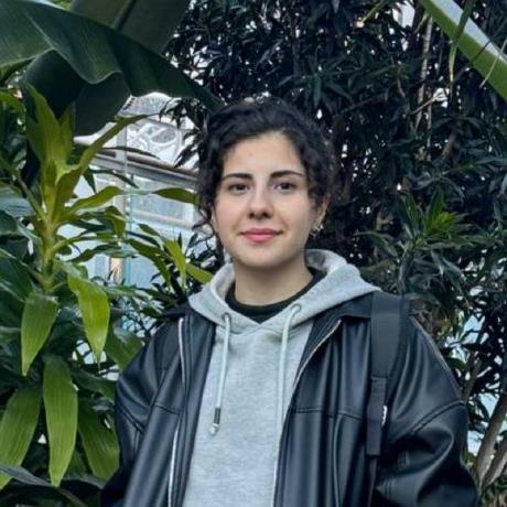 Dianecompiler Diane Github - Minimal Images - Artistic Retina Collection