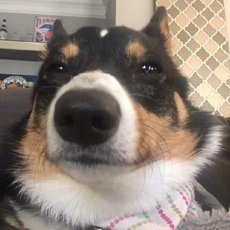 Pull Requests Coffee Client Coffee Github - Dark Picture Collection - Retina Quality