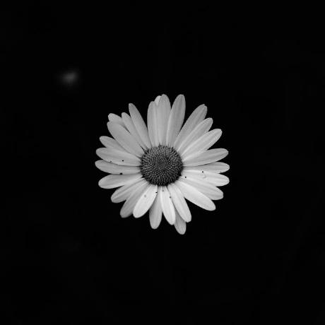 Adnan 119 Mohammad Adnan Shariff Github