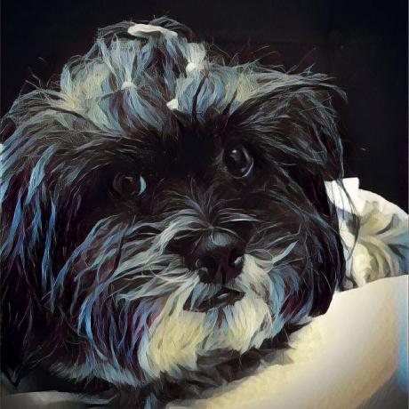 Udiudi Udi Github - Ultra HD Gradient Picture - Desktop