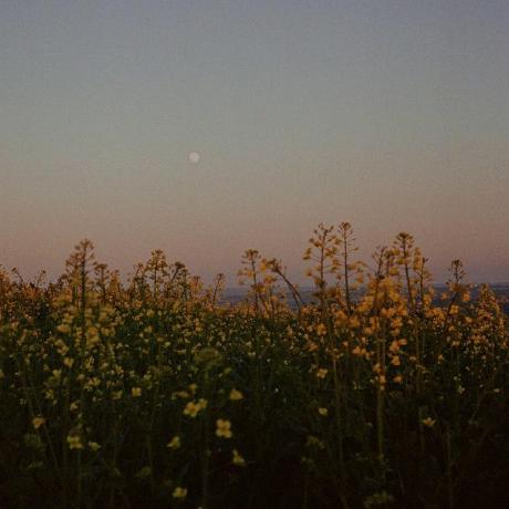 Yamumena Yamuna Mena Github - City Image Collection - Desktop Quality