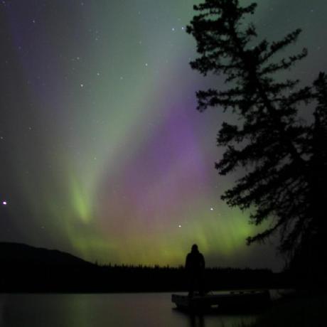 Bcolsen Github - Gorgeous Minimal Texture - High Resolution