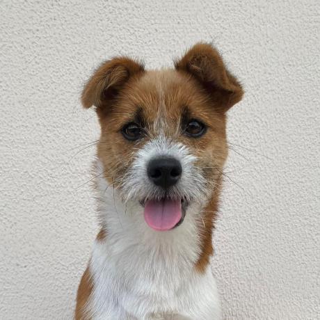 Github Shenyoung2015 Learning General 3d Geometries For Hypersonic - Landscape Picture Collection - Desktop Quality