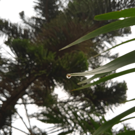 Theoluwatoni Amusan Oluwatoni Github - Mobile Light Designs for Desktop