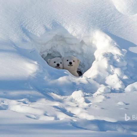 Linlinlindsay Lin Lin Github - Download Gorgeous Gradient Image | HD