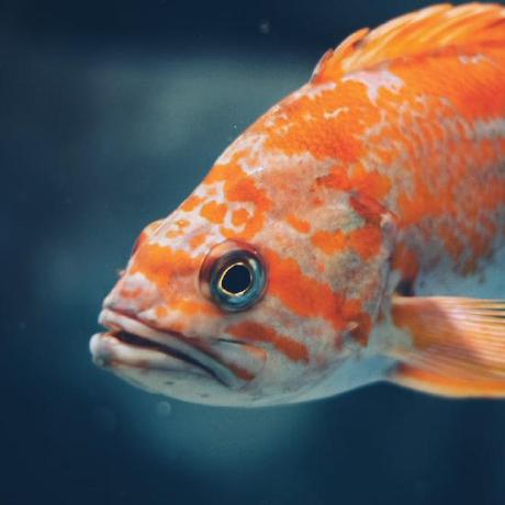 Sebas Eekhof Sebastiaan Eekhof Github - Best Space Designs in 4K