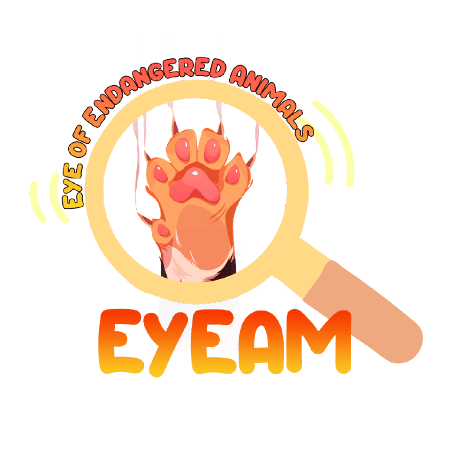 Eyeam - Download Ultra HD Light Image | Full HD