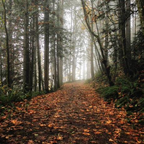 Ken Scanada Github - Premium Minimal Design Gallery - Ultra HD